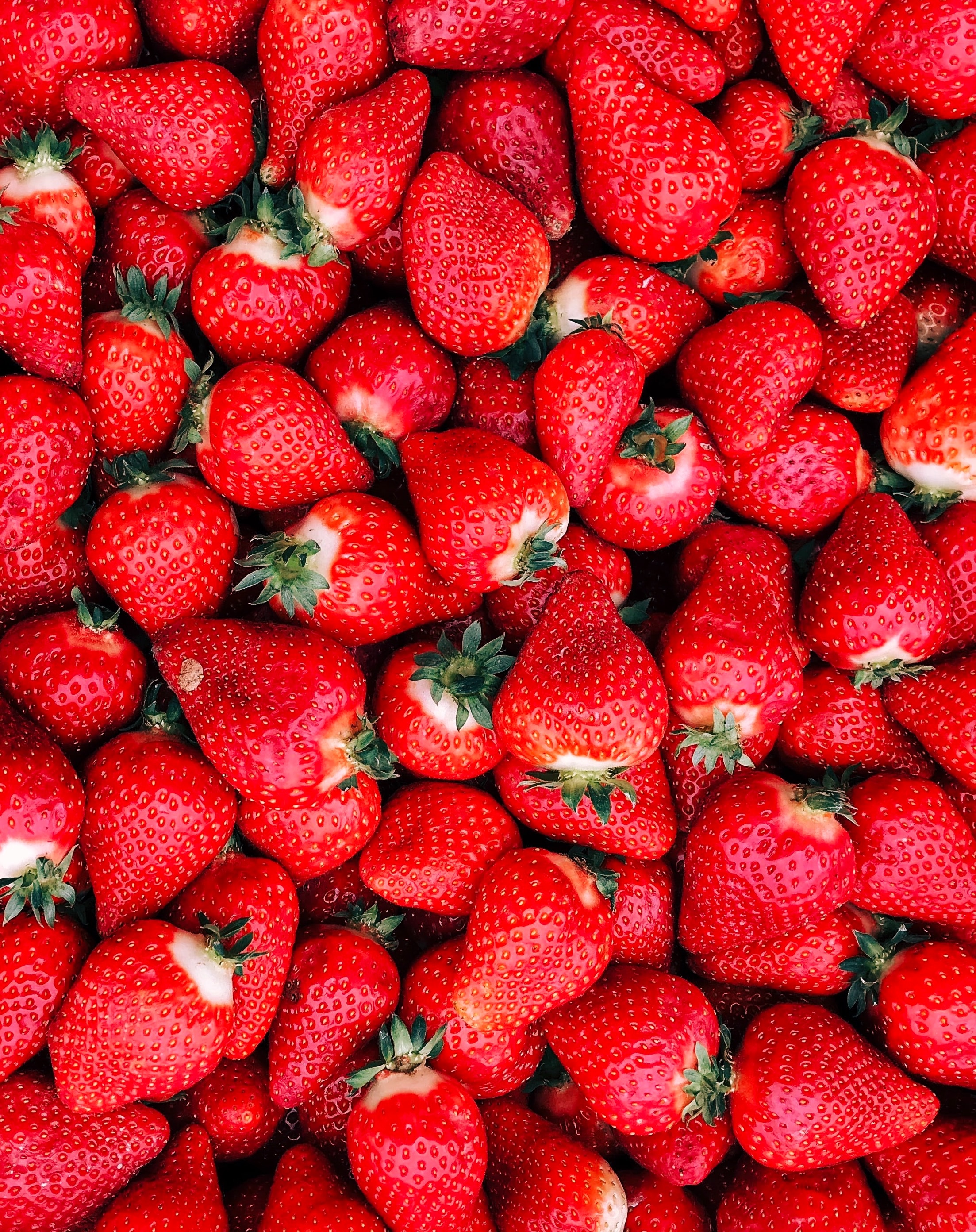 Strawberry fields forever? Strawberry production leaves long-term plastic pollution, research finds