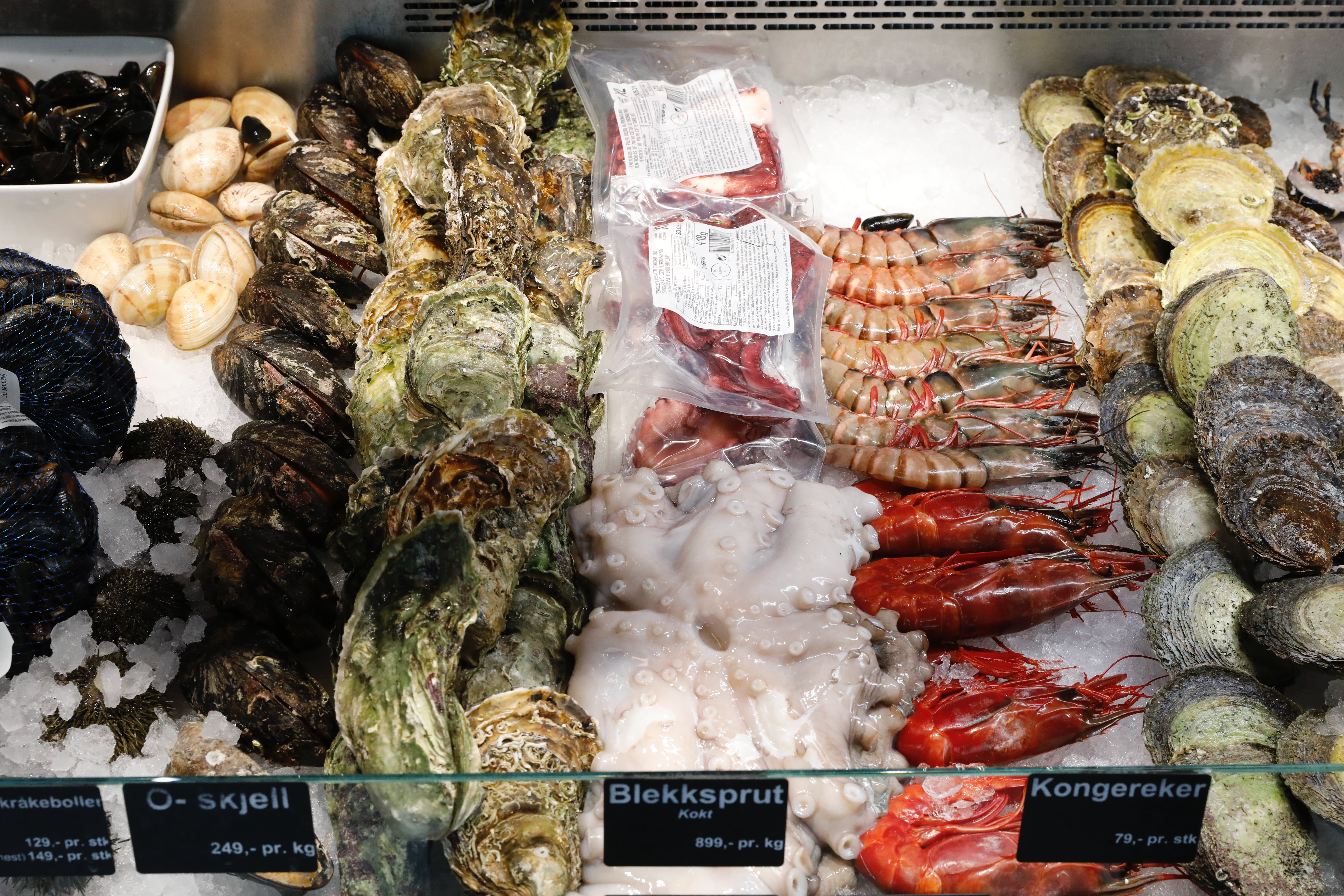 Climate change to slash seafood nutrients by 30% in low-income countries