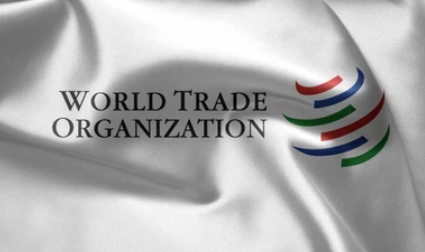 Activists criticise civil society ‘restrictions’ at WTO meeting in UAE