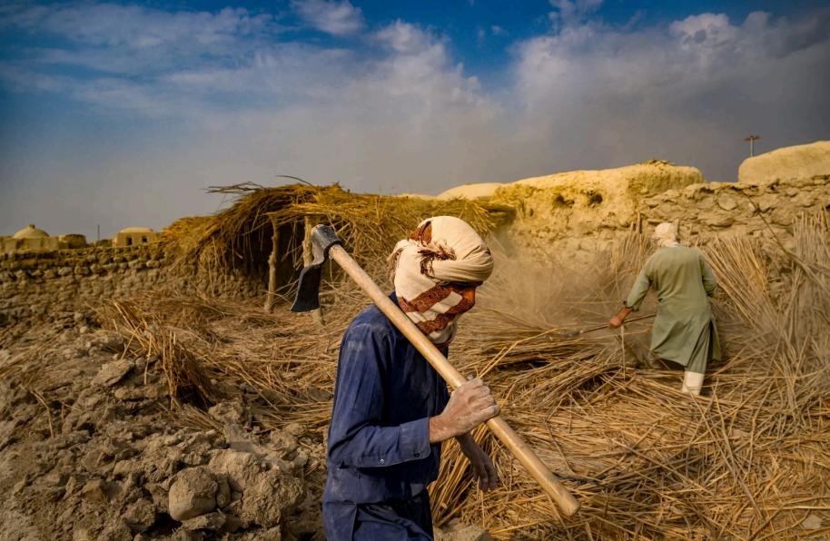 Barren Fields and Empty Stomachs: Afghanistan’s Long, Punishing Drought